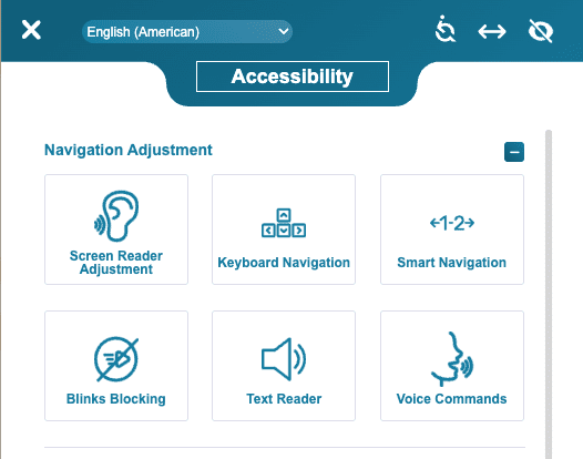 screenshot of an accessibility overlay example