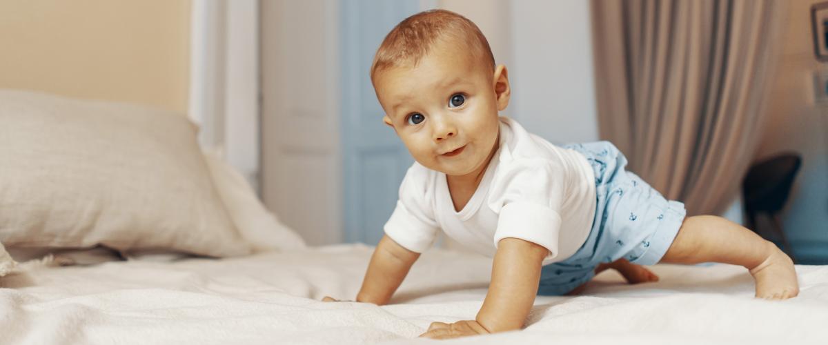 photo of baby crawling on a bed.